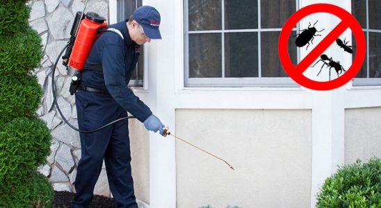 Asarlık Dezenfeksiyon böcek ilaçlama ve haşere kontrolü — ilaclama-tr.com
